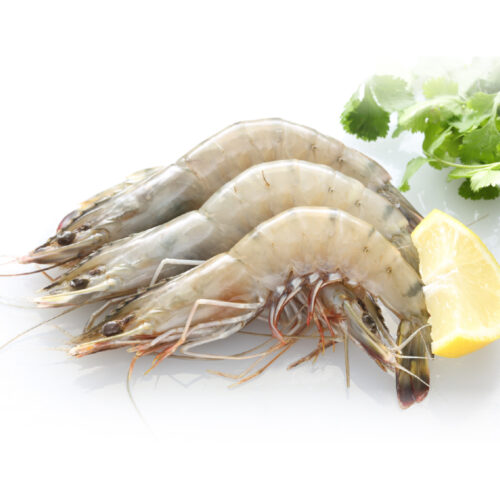 20/30 大白蝦(約1.4Kg)